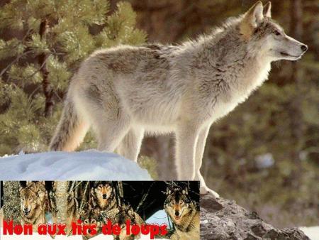 SAVEZ - VOUS ??????