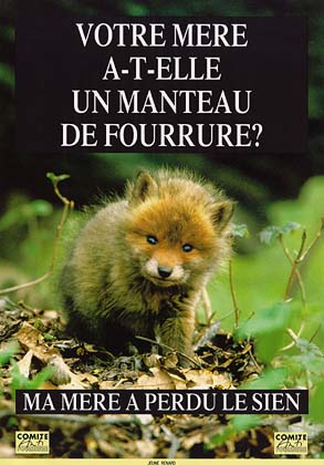   AIDONS  LES  